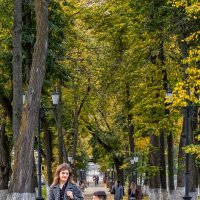 На тихо аллее... :: Сергей Шатохин На тихо аллее... :: Сергей Шатохин