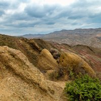 Гареджийская пустыня (полупустыня). Грузия. :: Дина Евсеева