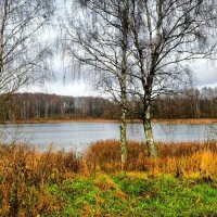 Осень в середине ноября. :: Милешкин Владимир Алексеевич 