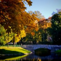 осень :: Евгений Фролов