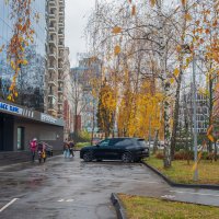 До свиданья осень! :: Николай 