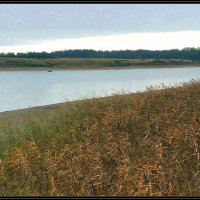 Река Гжать :: Ольга Довженко