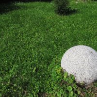 Вариация на тему :: Елена Шаламова