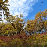 осень :: Юрий Словецкий