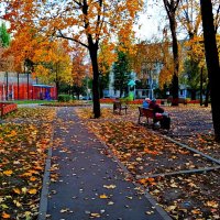 Осень :: Владимир Драгунский Осень :: Владимир Драгунский