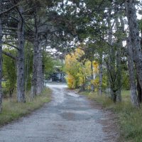 Природа Крыма :: Валентин Семчишин Природа Крыма :: Валентин Семчишин