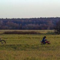Все под контролем :: Сергей Цветков Все под контролем :: Сергей Цветков