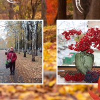 Зототая осень :: Венера Чуйкова