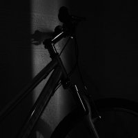 * :: Василий Палий