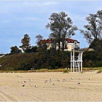 ********* :: Валерия Комова