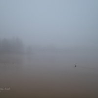 Утки в тумане :: Александр Синдерёв