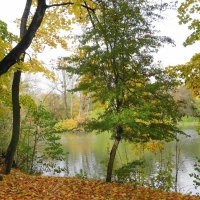 Картинки осени :: Рита Симонова