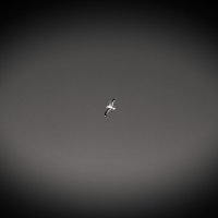 Фотограф :: Денис Безногов