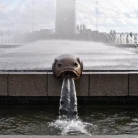 «Зачем рыбе уши?» :: AleksSPb Лесниченко