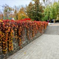 Красочная стена! :: Надежда Красочная стена! :: Надежда