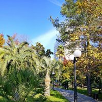 ПРИМОРСКИЙ ПАРК :: Tata Wolf