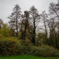 *** :: Николай Гирш