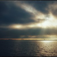 Ноябрь утро 2025 :: Сергей В Ноябрь утро 2025 :: Сергей В