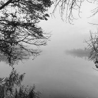 Туман на реке :: Валерий Ткаченко
