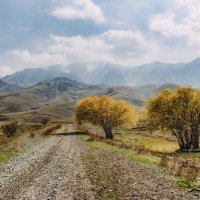 Скоро плато. :: LudMila 