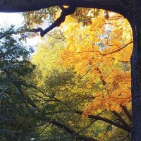 Прекрасная осень. :: Лилия *