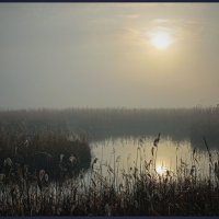 Туман. :: Александр Туман. :: Александр