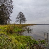 Б/Н :: Николай 