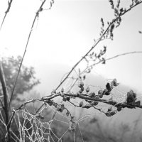 Под ногами :: Валентина 