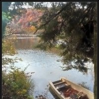 Осень. Очей очарованье! :: Ольга Довженко Осень. Очей очарованье! :: Ольга Довженко