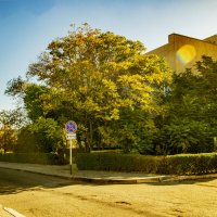 Дорожный знак :: Анатолий Чикчирный