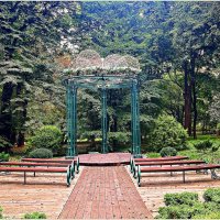 В парке. :: Валерия Комова В парке. :: Валерия Комова