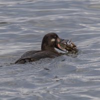 турпан :: юрий макаров турпан :: юрий макаров