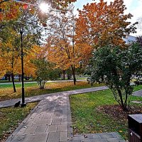 Осень. :: Владимир Драгунский Осень. :: Владимир Драгунский