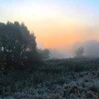 Туман. Иней. Утро. :: Александр Туман. Иней. Утро. :: Александр