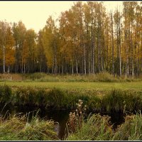 *** :: Aleksandr Gal