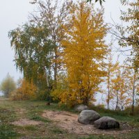 берег р. Волга :: Владимир Зеленцов