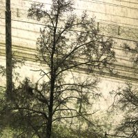 Не на шутку - разыгралась ! :: Юрий Куликов