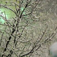 Во дворе не лучше !.. Или, не хуже :) :: Юрий Куликов Во дворе не лучше !.. Или, не хуже :) :: Юрий Куликов