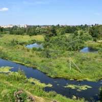 Клин на реке Сестре. :: tatiana 