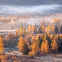 Туманчик :: Sergey38 