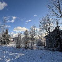 Утро :: Ольга Савельева 