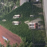 Домик :: Ольга Савельева 