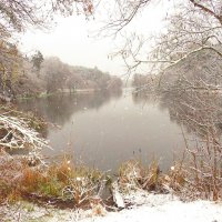 Первый снег над озером :: Андрей Снегерёв