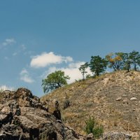 Природа :: Светлана Ищенко