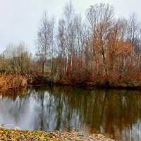 Ноябрь. :: Лия ☼