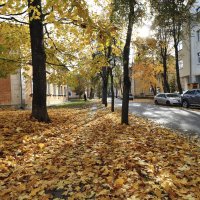 ОСЕНЬ В ГОРОДЕ. :: Николай 