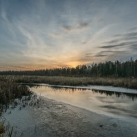 зима опять ушла :: сергей 