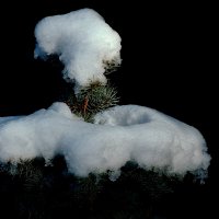 Первый снег :: Леонид leo