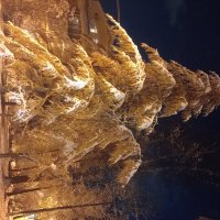 Лиственница :: Сапсан 