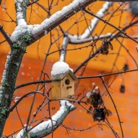 Малогабаритка :: Валерий Иванович Малогабаритка :: Валерий Иванович